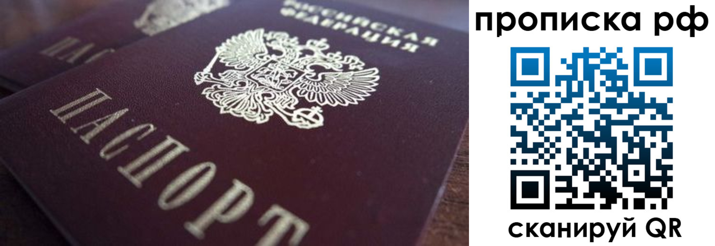 где прописаться в Ельне